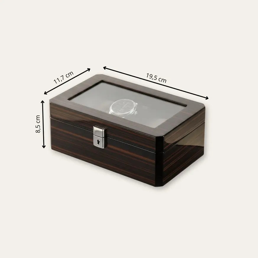 TRLIOR Boîte à Montres Laquée Noir