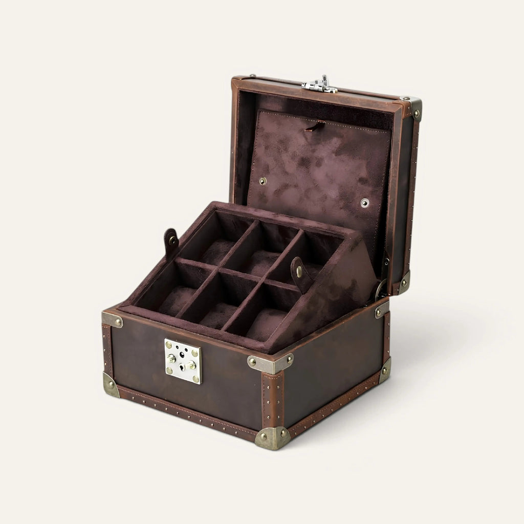TRLIOR Coffre Rangement Montres Homme Cuir