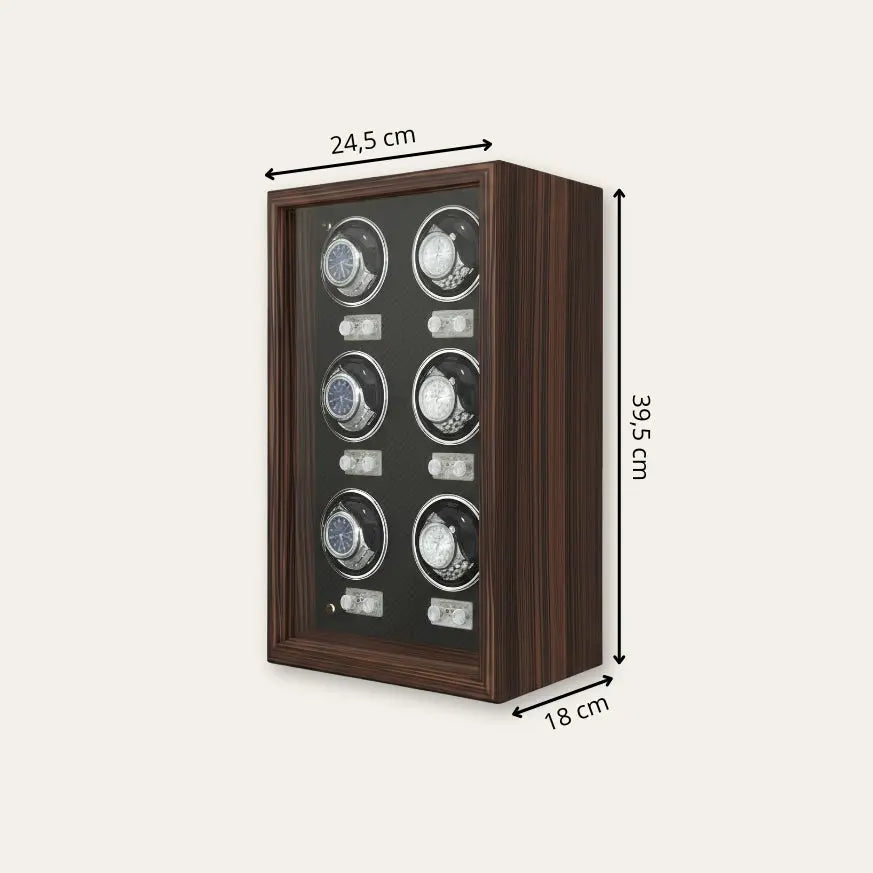 TRLIOR Coffret en Bois Remontoir Montres